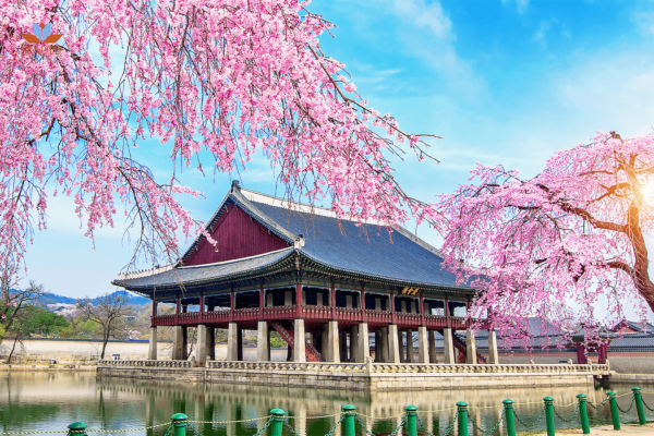 VISA HÀN QUỐC