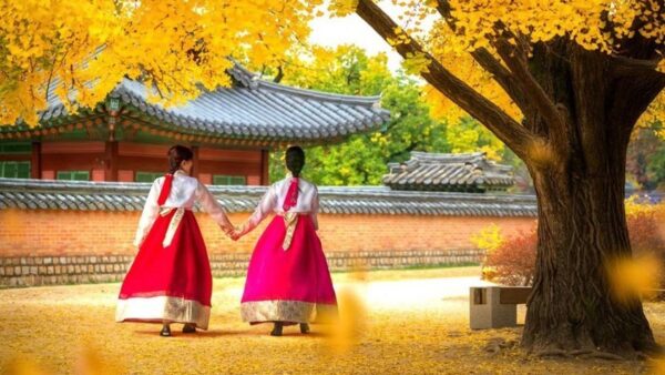 Tour Hàn Quốc mùa lá đỏ: Seoul - Nami - Everland 5N4Đ